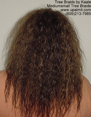 Tree Braids- back view.