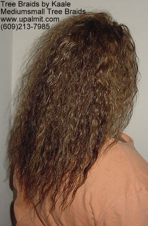 Tree Braids- right.
