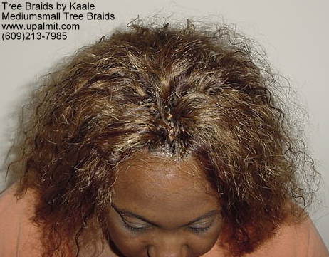 Tree Braids- Top 2.