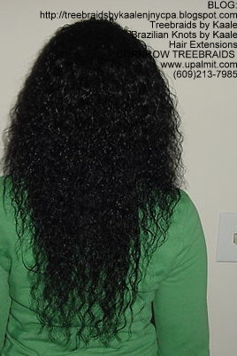 Cornrow Tree Braids Wet n wavy human hair Back177.