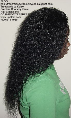 Cornrow Tree Braids Wet n wavy human hair Right179.