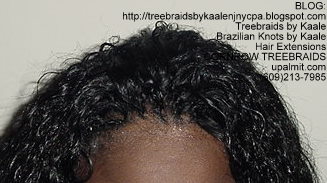 Cornrow Tree Braids Wet n wavy human hair Top180.