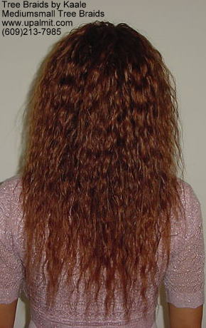 Tree Braids- back view.