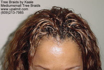 Tree Braids- Top.