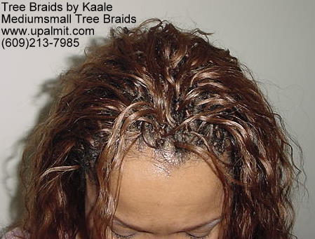 Tree Braids- Top 2.