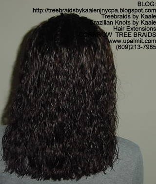 Wet and wavy Treebraids, Back232.
