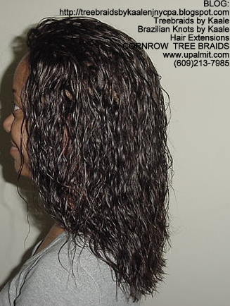 Wet and wavy Treebraids, Left233.