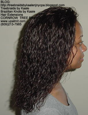 Wet and wavy Treebraids, Right234.