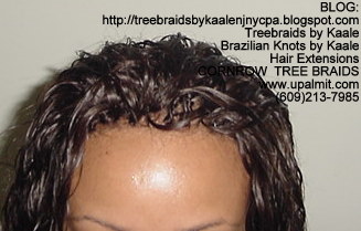 Wet and wavy Treebraids, Top235.