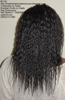 Individual Treebraids with KAALE brand Wet n Wavy human hair Back2156.