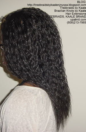 Individual Treebraids with KAALE brand Wet n Wavy human hair Left2157.