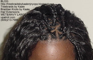 Individual Treebraids with KAALE brand Wet n Wavy human hair Top2159.