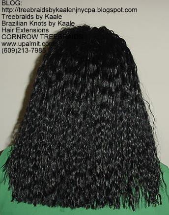 Tree Braids- Wavy Tree Braids Back221.