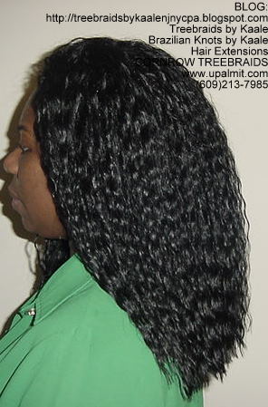 Tree Braids- Wavy Tree Braids Left222.