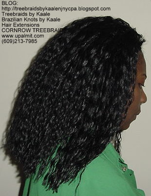 Tree Braids- Wavy Tree Braids Left223.