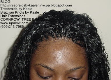 Tree Braids- Wavy Tree Braids Left223.