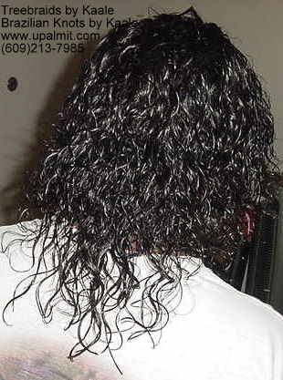 Wavy Tree Braids- Mediumsmall, Back204.