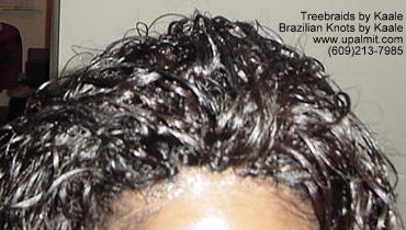 Wavy Tree Braids- Mediumsmall, Top205.
