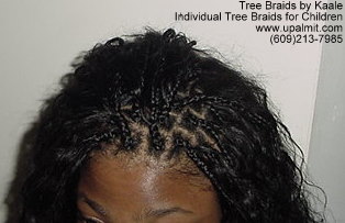 Individual Tree Braids- African hair braiding for children,Top.