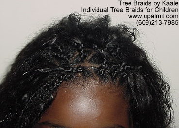 Individual Tree Braids- African hair braiding for children.