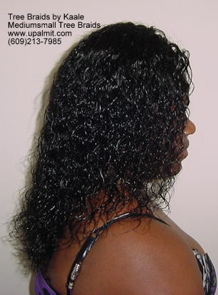 Wet and wavy Tree Braids.