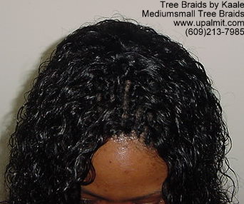 Wet and wavy Tree Braids- Top.