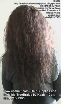 Tree Braids- Cornrows with Wet n Wavy human hair, Back2324.