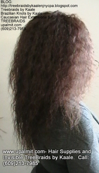 Tree Braids- Cornrows with Wet n Wavy human hair, Right2326.