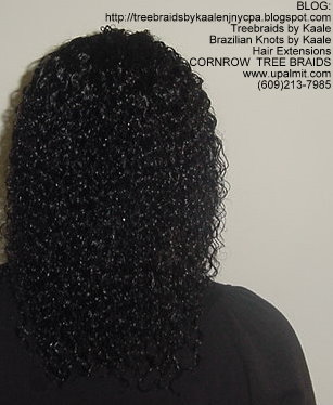 Wet & Wavy cornrow Treebraids, Back251.