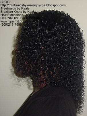 Wet & Wavy cornrow Treebraids, Left252.