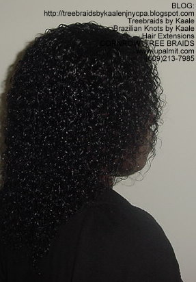 Wet & Wavy cornrow Treebraids, Right253.