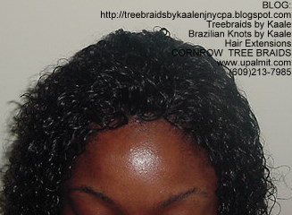 Wet & Wavy cornrow Treebraids, Right253.