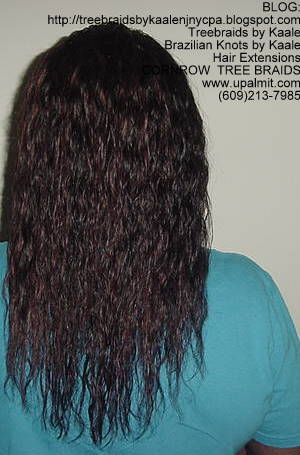 Wet & Wavy cornrow Treebraids, Back262.