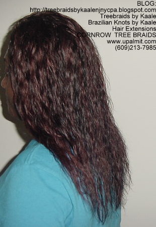 Wet & Wavy cornrow Treebraids, Left263.