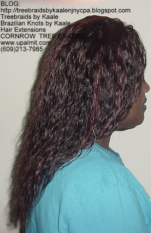 Wet & Wavy cornrow Treebraids, Right264.