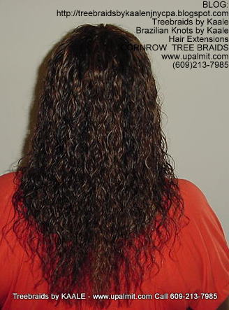 Wet and wavy Treebraids, Back240.