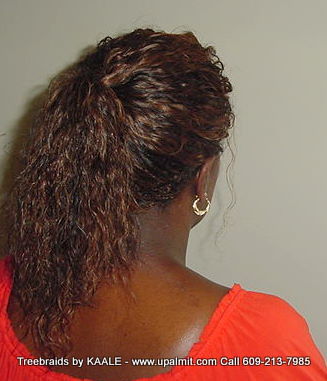 Wet and wavy Treebraids, 2Back241.