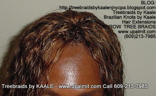 Wet and wavy Treebraids, Top243.