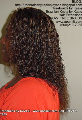 Wet and wavy Treebraids, Left242.