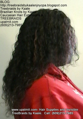 Tree Braids with KAALE Brand Wet n Wavy own human hair Right360.