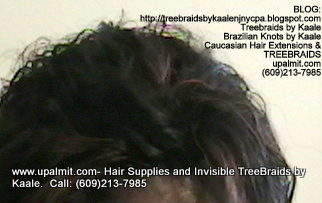 Tree Braids with KAALE Brand Wet n Wavy own human hair Top361.