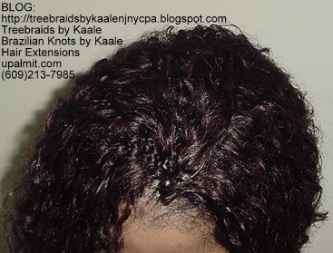 Wet n Wavy Tree Braids, Kaale Brand hair Top148.