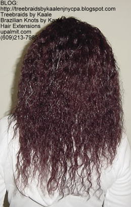 Wet n Wavy Tree Braids, Kaale Brand hair Back145.