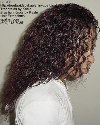 Wet n Wavy Tree Braids, Kaale Brand hair Right`47.