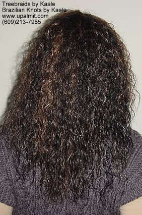 Wavy Tree Braids- Mediumsmall, Back206.
