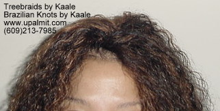 Wavy Tree Braids- Mediumsmall, Top211.