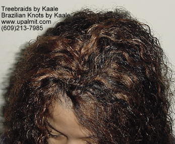 Wavy Tree Braids- Mediumsmall, Top210.
