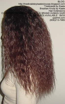 Cornrow Tree Braids Wet n wavy human hair Left186.