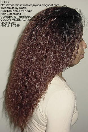 Cornrow Tree Braids Wet n wavy human hair Right187.