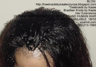 Cornrow Tree Braids Wet n wavy human hair Top188.